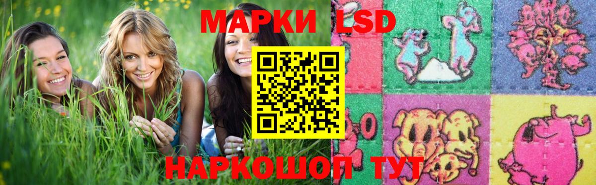 LSD-25 экстази кислота  LSD-25 экстази кислота  Вход с VPN  Новоалтайск 
