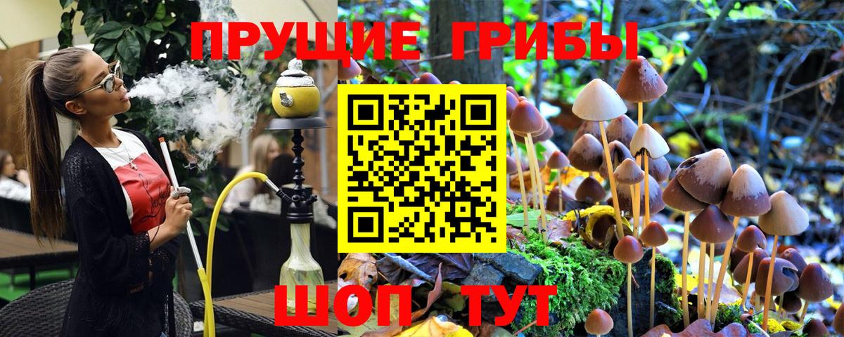 Новоалтайск  Галлюциногенные грибы Cubensis  Галлюциногенные грибы ЛСД  Вход с VPN 
