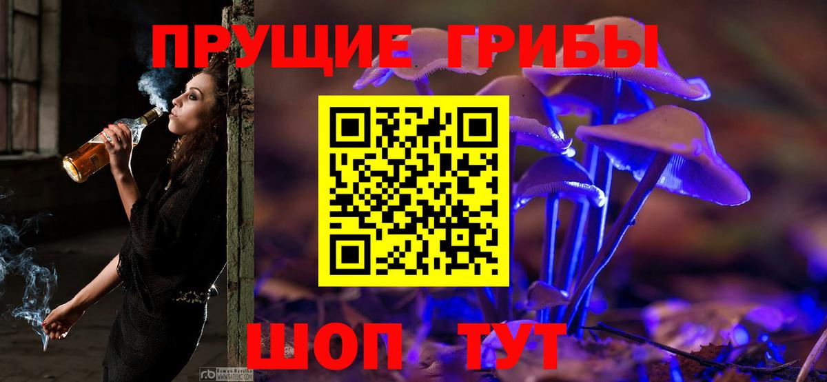 Псилоцибиновые грибы мухоморы Новоалтайск